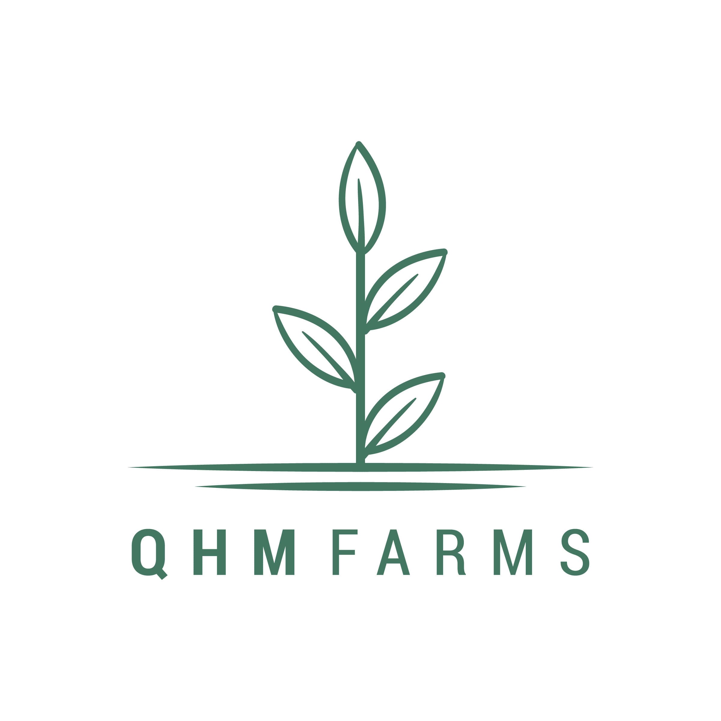 QHM Group logo tile